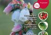 Jagodnik 3/2018 już w sprzedaży