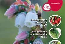 Jagodnik 3/2018 już w sprzedaży