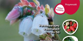 Jagodnik 3/2018 już w sprzedaży
