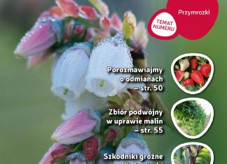 Jagodnik 3/2018 już w sprzedaży