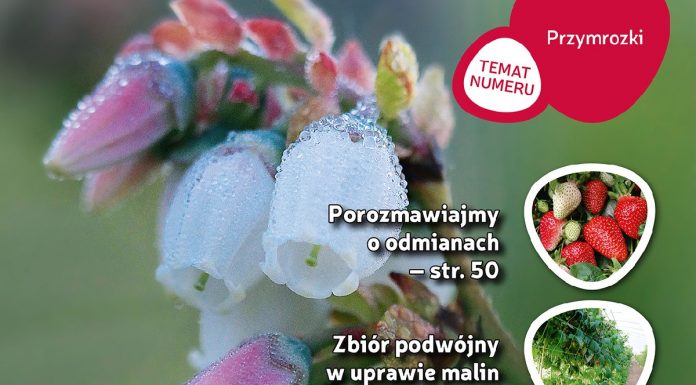 Jagodnik 3/2018 już w sprzedaży