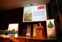 Szanse i zagrożenia (cz. II) – truskawki i maliny