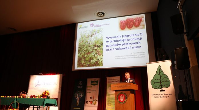 Szanse i zagrożenia (cz. II) – truskawki i maliny