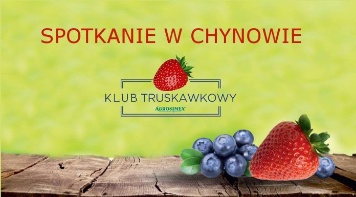 Spotkanie Klubu Truskawkowego w Chynowie
