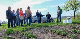 Wczesnowiosenne zalecenia dla truskawek