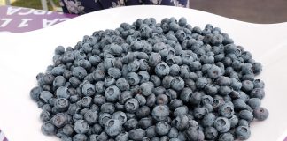 Borówki – prawdziwie polskie owoce