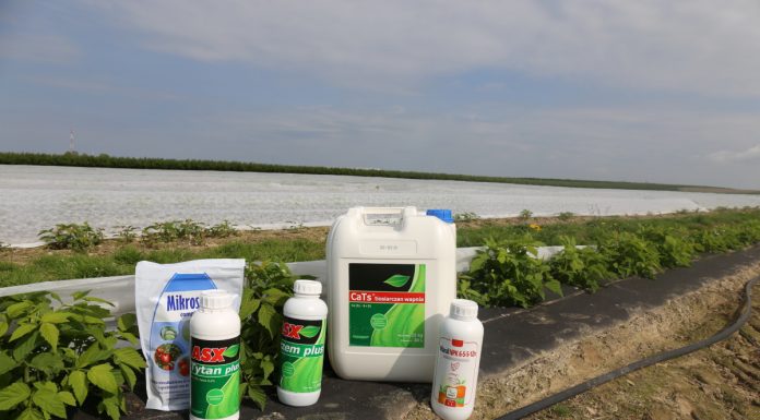 Tiosiarczan wapnia i nawozy z serii ASX w uprawie malin