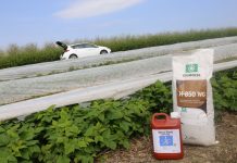 Produkty ważne w budowie stabilnego plonu