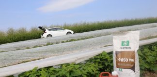 Produkty ważne w budowie stabilnego plonu