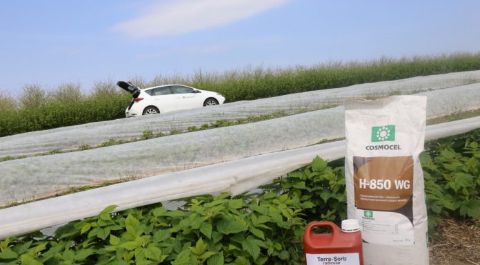 Produkty ważne w budowie stabilnego plonu