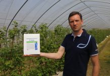 Celowane rozwiązanie do zwalczania chorób malin