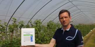 Celowane rozwiązanie do zwalczania chorób malin