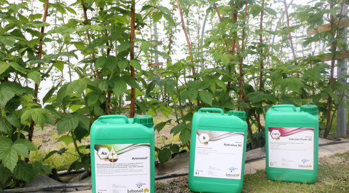 Trzy produkty dla malin