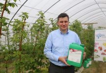 Nawozy dolistne od firmy Azelis