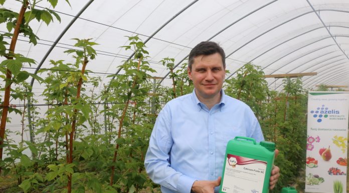 Nawozy dolistne od firmy Azelis