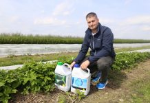 Nawożenie malin na plantacji polowej – biostymulacja się sprawdza
