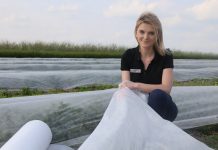 Nowe rodzaje włóknin w uprawie malin