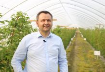 Praktyczne rekomendacje dotyczące nawożenia malin