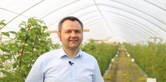 Praktyczne rekomendacje dotyczące nawożenia malin