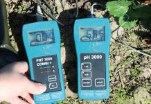 Nawożenie i ochrona truskawek na początku sezonu