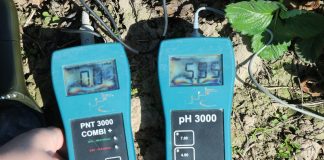 Nawożenie i ochrona truskawek na początku sezonu