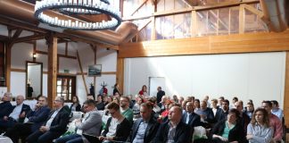 Jagodowe dla przemysłu