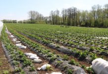 Obrót ziemią będzie łatwiejszy