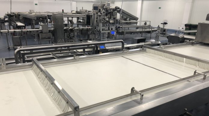 Używany zestaw sorterów i urządzeń BBC do sortowania borówki wysokiej- sprzedam