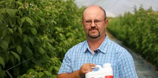 Nawozy z dodatkową energią dla roślin