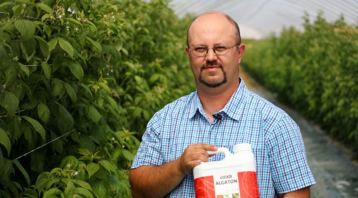 Nawozy z dodatkową energią dla roślin