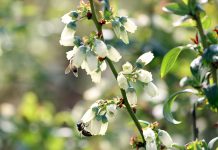 Producenci powinni pokazywać produkcję