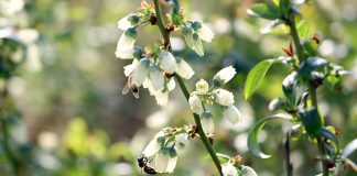 Producenci powinni pokazywać produkcję