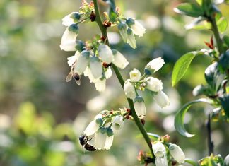 Producenci powinni pokazywać produkcję