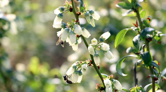 Producenci powinni pokazywać produkcję