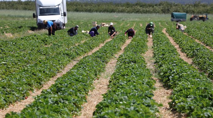 Nazwali pracowników parobkami i obrazili rolników