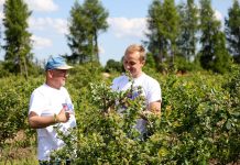 Razem możemy więcej