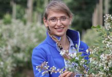 Zbiory borówki wcale nie muszą być rekordowe. Co przyniesie sezon 2018?