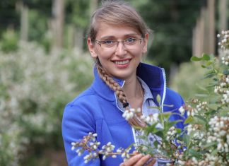 Zbiory borówki wcale nie muszą być rekordowe. Co przyniesie sezon 2018?