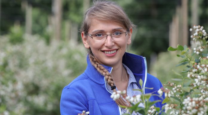 Zbiory borówki wcale nie muszą być rekordowe. Co przyniesie sezon 2018?