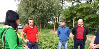 Skuteczny program ochrony i nawożenia truskawek w 2018 roku