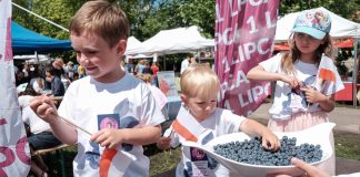 Czym skorupka za młodu