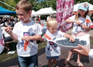 Czym skorupka za młodu