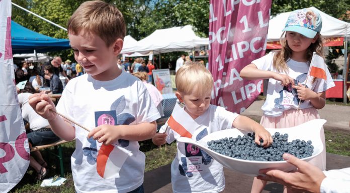 Czym skorupka za młodu