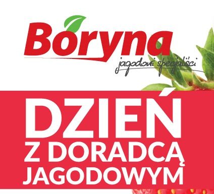 Dzień z Doradcą Jagodowym – Boryna