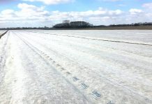 Agrowłóknina do okrywania zimowego plantacji truskawek. Co warto wiedzieć?