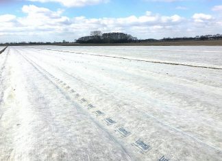Agrowłóknina do okrywania zimowego plantacji truskawek. Co warto wiedzieć?