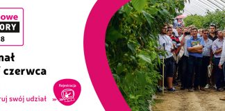 Malinowe Factory 2018 – PÓŁFINAŁ