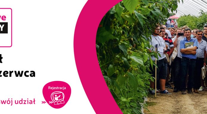 Malinowe Factory 2018 – PÓŁFINAŁ