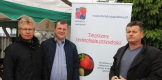 Truskawki powtarzające w przystępnej technologii