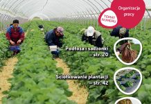 Jagodnik 5/2018 już w sprzedaży